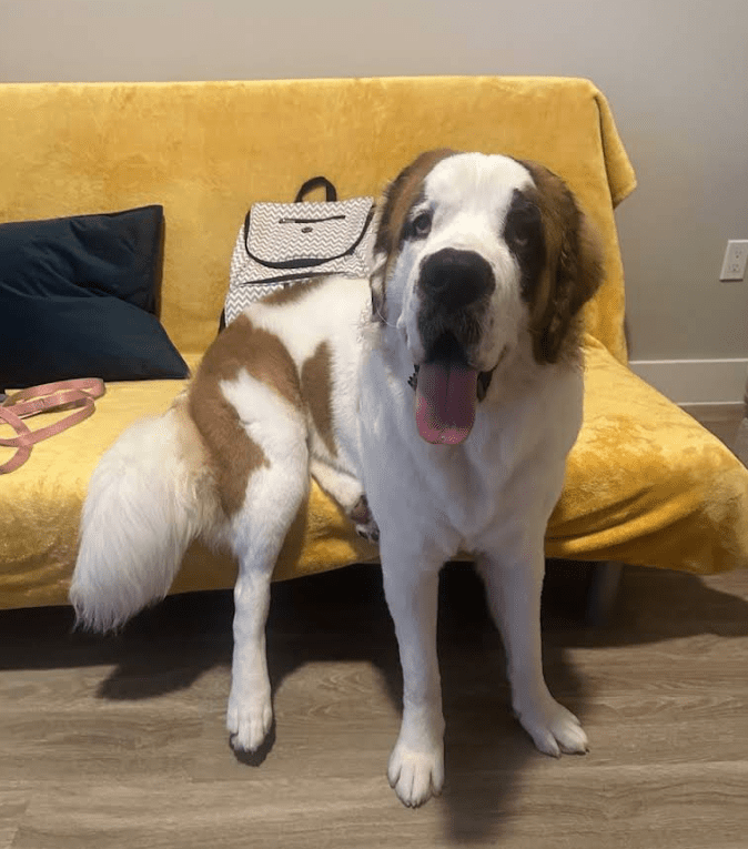 Screenshot 2025-10-24 194349