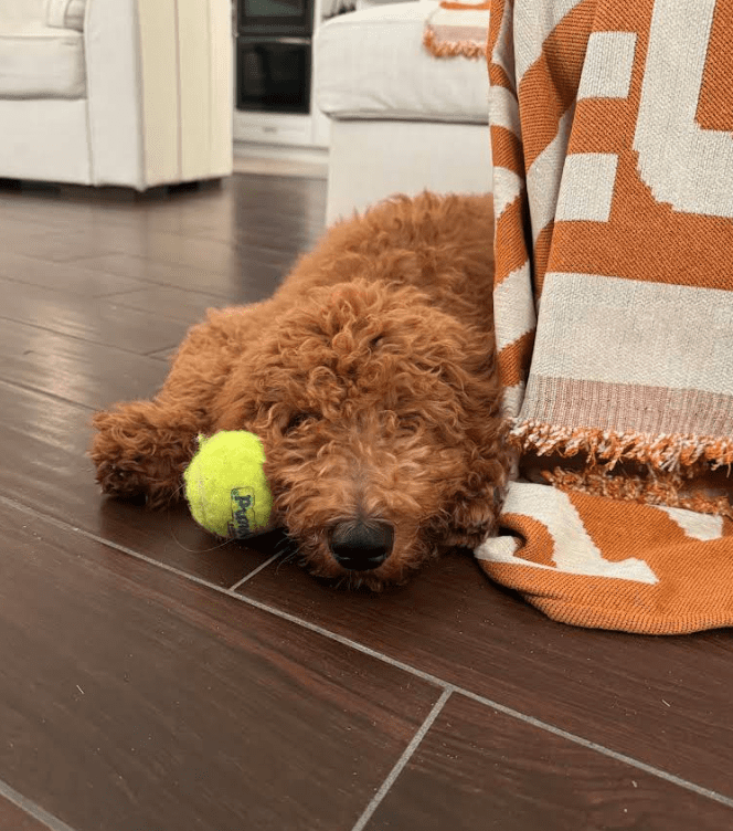 Screenshot 2025-10-24 194502