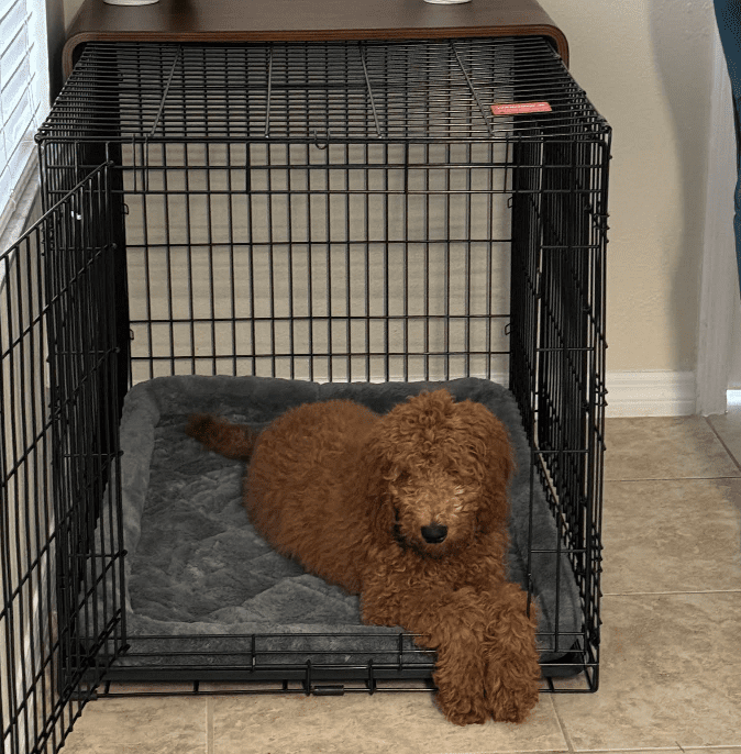 Screenshot 2025-10-24 194515