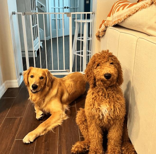 Screenshot 2025-10-24 194524