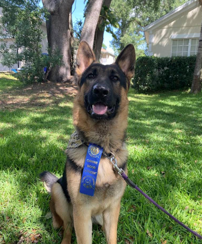 Screenshot 2025-10-24 194630