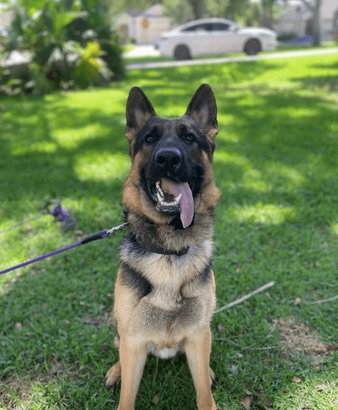 Screenshot 2025-10-24 194644