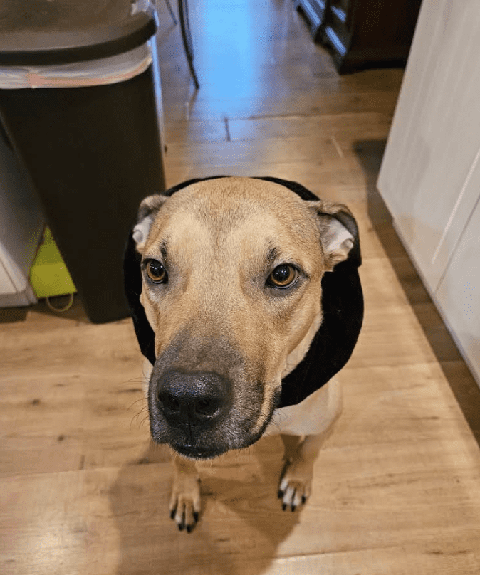 Screenshot 2025-10-24 194805