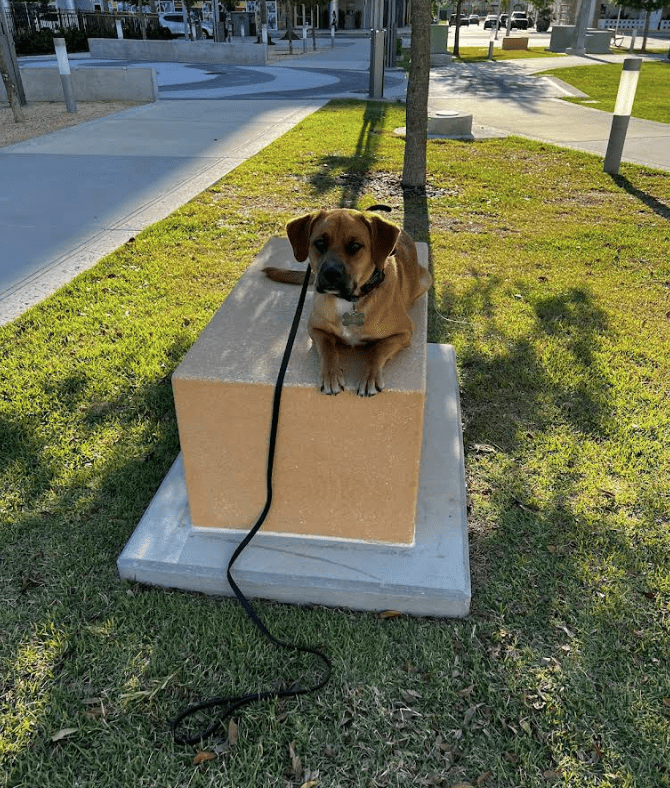 Screenshot 2025-10-24 194826