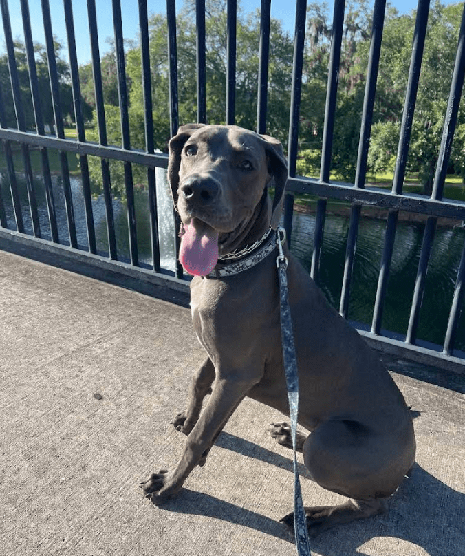 Screenshot 2025-10-24 194939